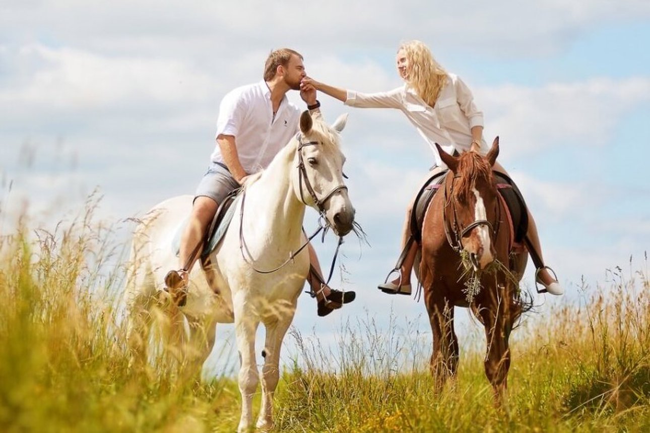 Ле кон. Прогулка на конях. Катание на лошадях. Фотосессия с лошадьми. Романтическая прогулка на лошадях.